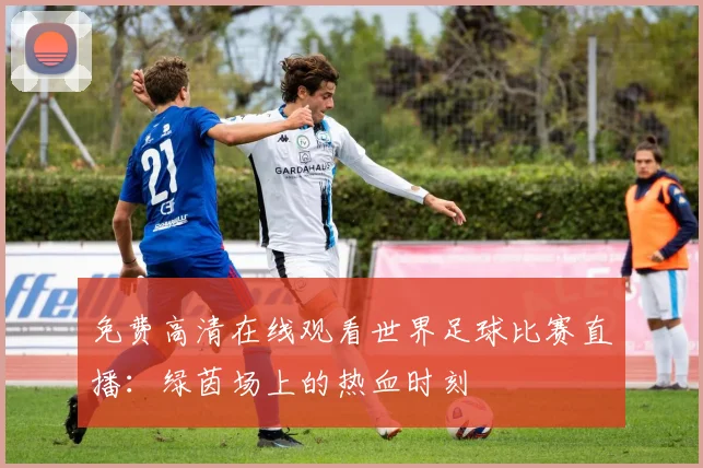 免费高清在线观看世界足球比赛直播:绿茵场上的热血时刻