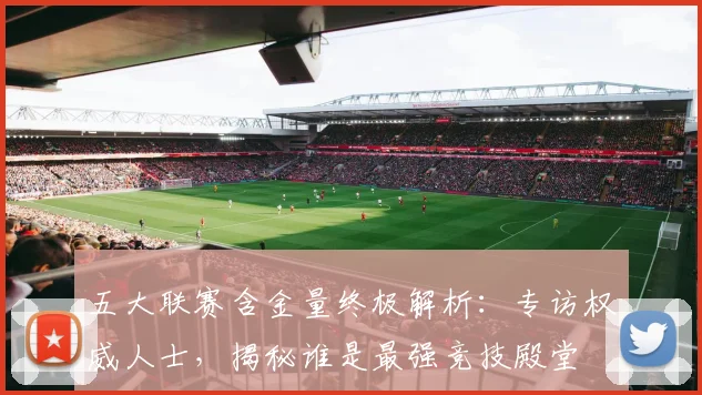 五大联赛含金量终极解析:专访权威人士,揭秘谁是最强竞技殿堂